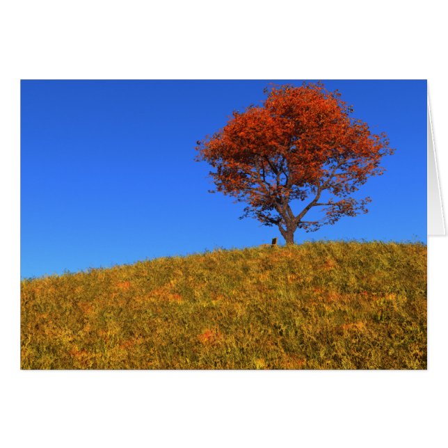 Effacer la carte de jour d'automne (Devant horizontal)