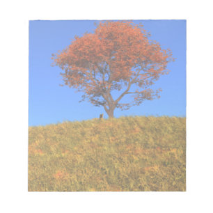 Effacer le Bloc-notes du jour d'automne