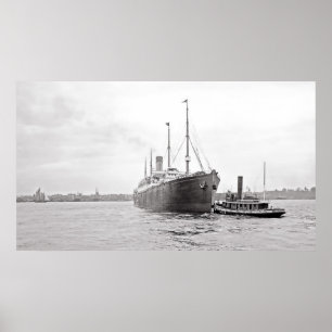 Effektivwert Cymric Poster