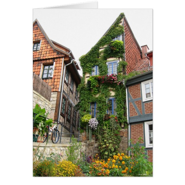 effet maison verte (Devant)