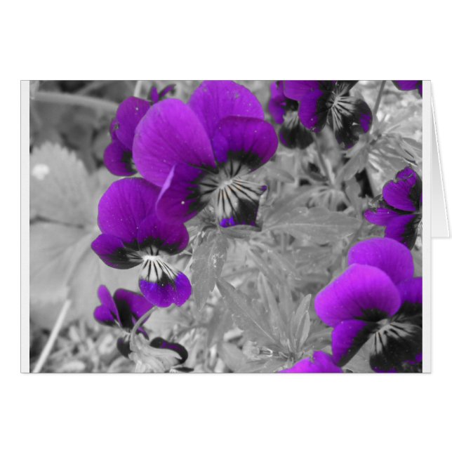 Effet Pansy (Devant horizontal)