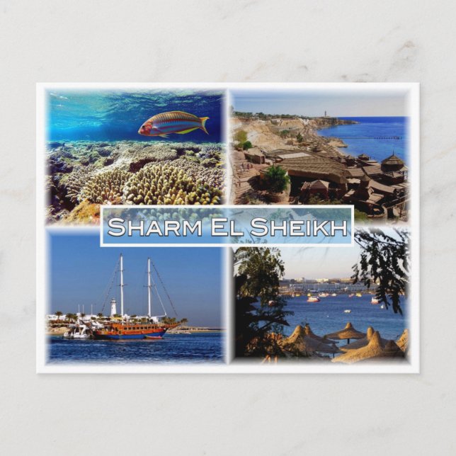 EG Ägypten - Sharm El Sheikh - Rotes Meer - Postkarte (Vorderseite)