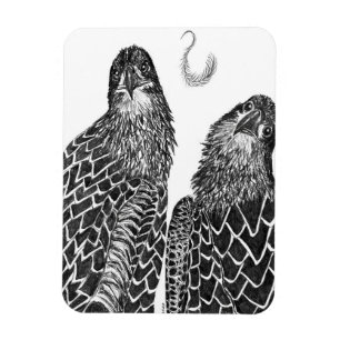EGELSCHLINKE UND FREUND UND LEITFADEN MAGNET