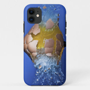 Eggceptional title_seo2