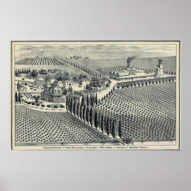 Eggers Vineyard, Fresno Poster (Vorne)