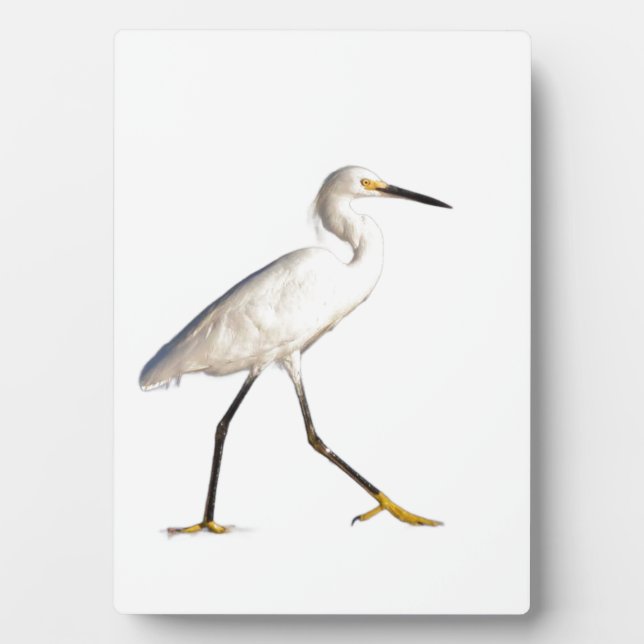 Egret am Strand Fotoplatte (Vorderseite)