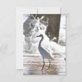 Egret auf der Strandkarte Dankeskarte