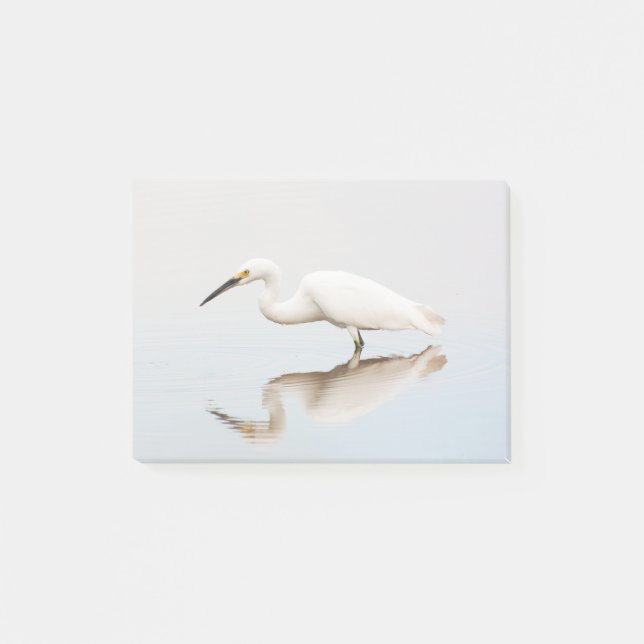 Egret auf einem noch bewachsenen Teich Post-it Klebezettel (Vorderseite)