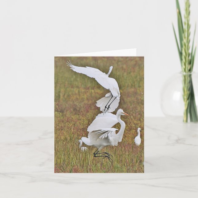 Egret Birds Wildlife Animals Wetlands Note Card Karte (Vorderseite)
