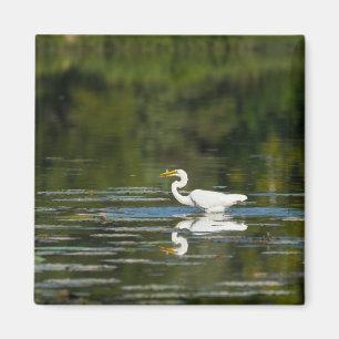 Egret Fish Fest Magnet
