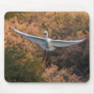 Egret Fliegen Mousepad