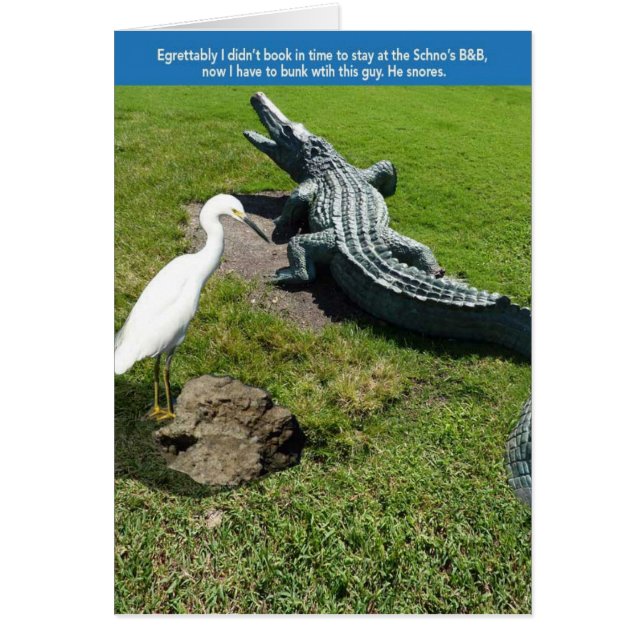 Egret & Gator (Vorne)