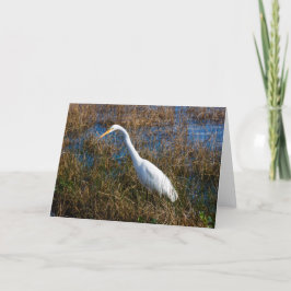 Egret Greeting Card Karte