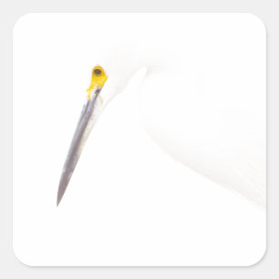 Egret-Headshot Quadratischer Aufkleber