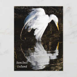 Egret in Bloom Postkarte