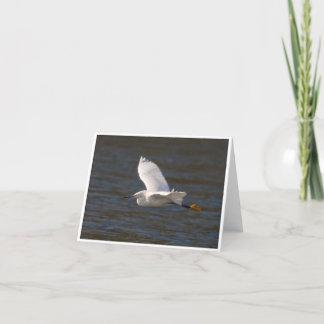 Egret in Flight Karte