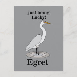 Egret Lucky Bird Postkarte