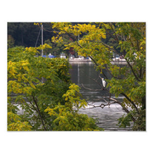Egret mit Blick auf den Hudson River Fotodruck