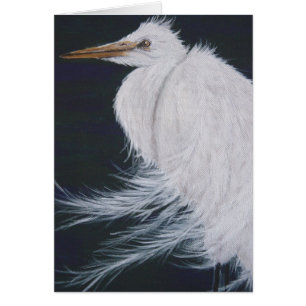 Egret neigeux
