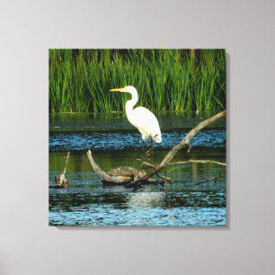 Egret neigeux sur toile de journal Imprimer