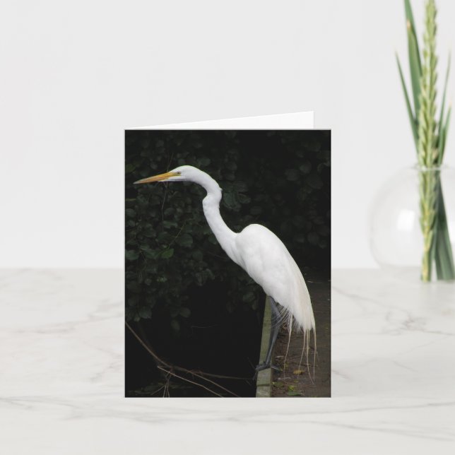 Egret Note Card Karte (Vorderseite)