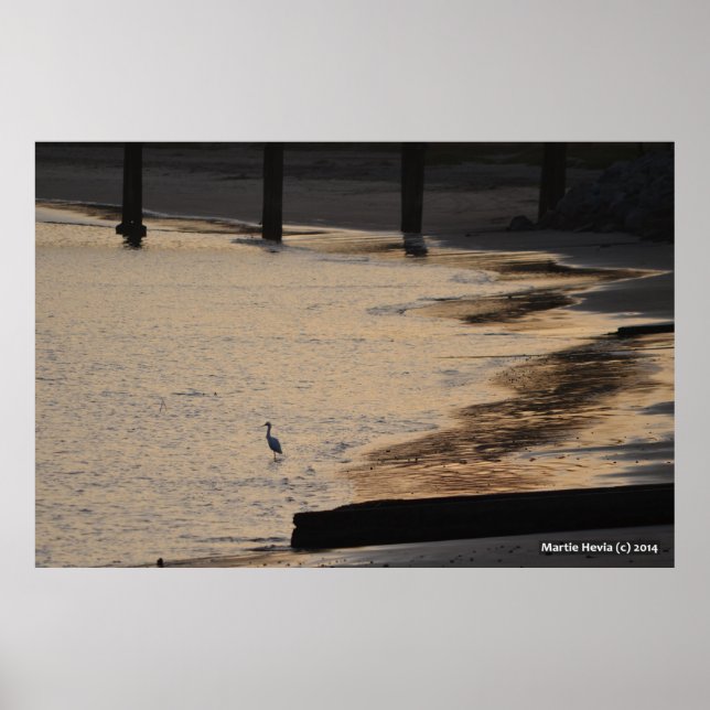Egret on Shore II Poster (Vorne)