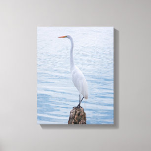 Egret Perch Leinwanddruck