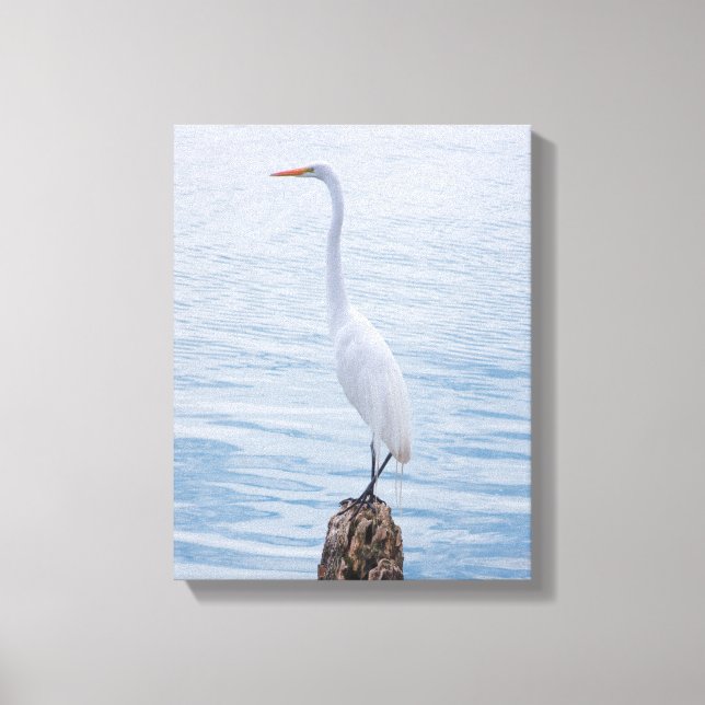 Egret Perch Leinwanddruck (Vorderseite)