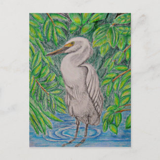 Egret Postkarte