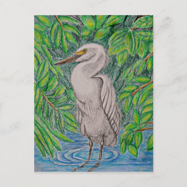 Egret Postkarte (Vorderseite)