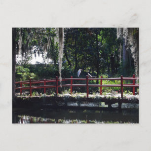 Egret sur carte postale Red Bridge