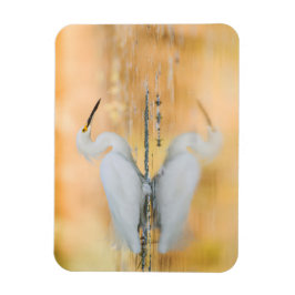 Egret, wenn die Sonne eingestellt ist Magnet