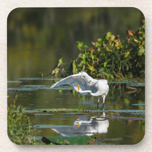 Egret Wing Exam Getränkeuntersetzer (Vorderseite)