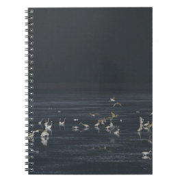 Egrets am Mitternachtsblau Notizblock