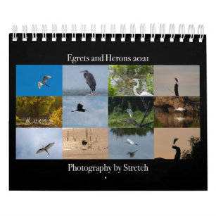 Egrets and Herons Fotografie 2021 Kalender