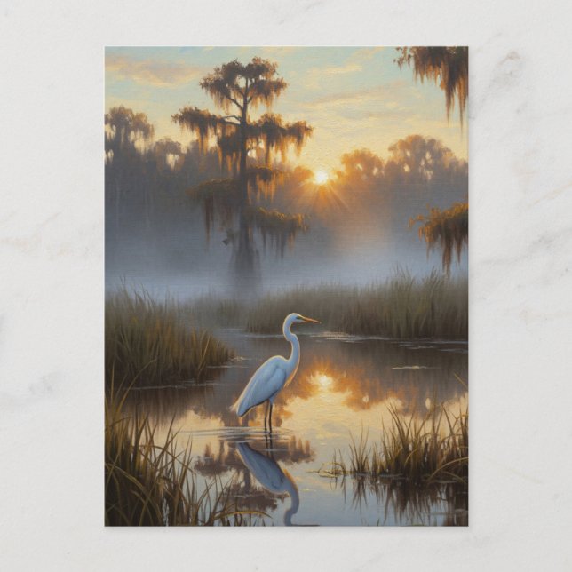 Egrets in Everglades National Park Morning Postkarte (Vorderseite)