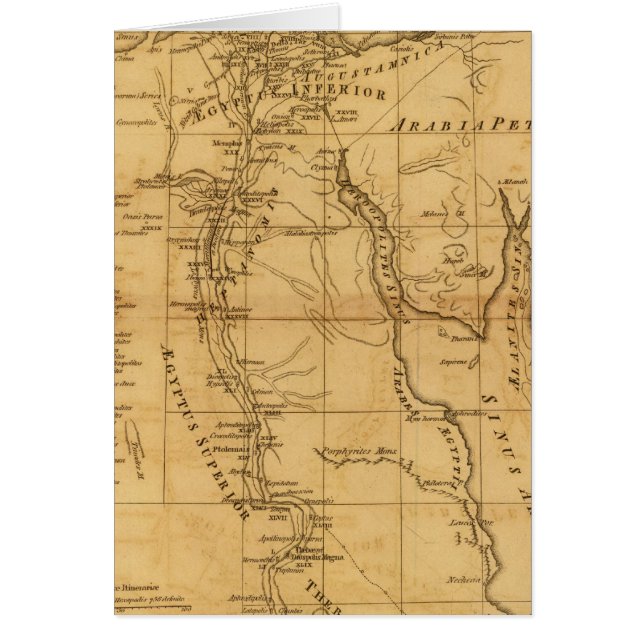 Égypte ancienne 3 (Devant)