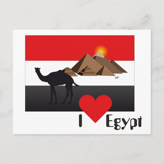 Egypte - Carte postale d'Egypt (Devant)