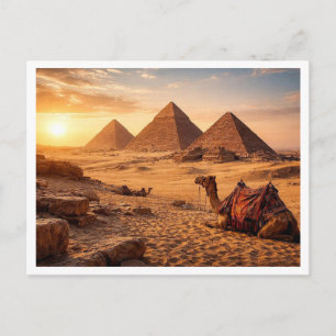 Égypte. Complexe pyramidal de Gizeh. Carte postale