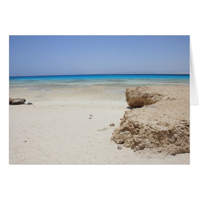 Egypte, Mer Rouge, Marsa Alam, Sharm El Luli, Plag (Devant horizontal)