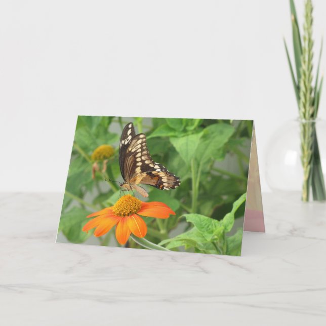 Ehe - So schön wie der Schmetterling (a) Karte (Vorderseite)