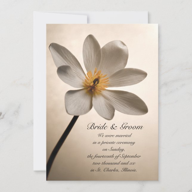 Ehe/Verkündung der weißen Wildblume Ankündigung (Vorderseite)