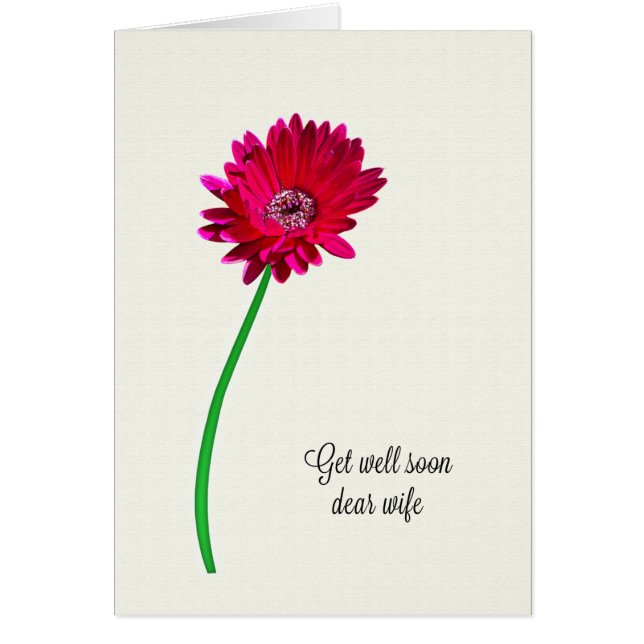 Ehefrau wird bald gut gestrichen Blume (Vorne)