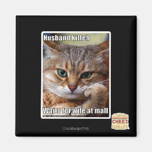 Ehemann Kitteh Magnet
