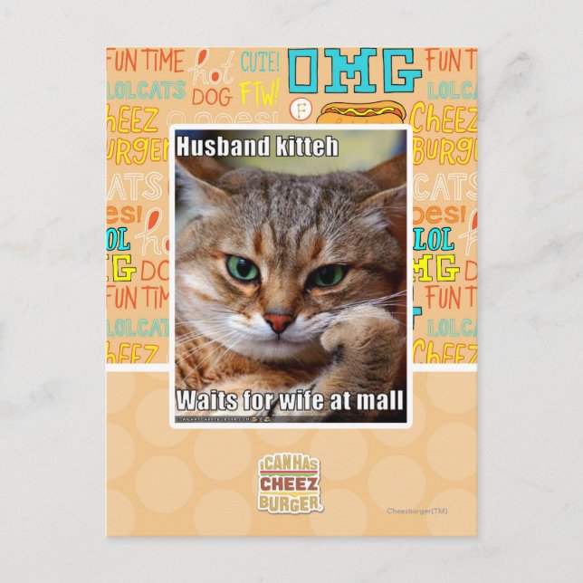 Ehemann Kitteh Postkarte (Vorderseite)