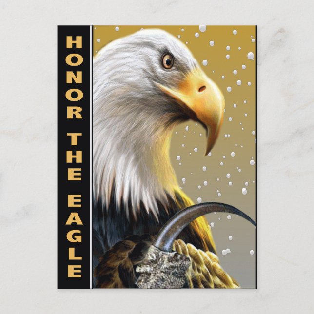 Ehre der Eagle Claw-Geschenke und Kleidung Postkarte (Vorderseite)