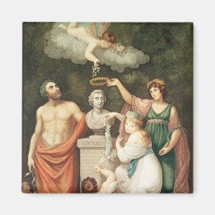 Ehren des Fehlschlags von Linnaeus Magnet