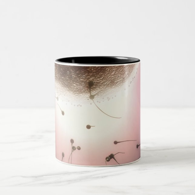 Ei, das durch Samenzellen befruchtet wird Zweifarbige Tasse (Mittel)