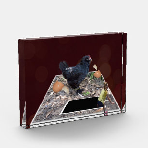Ei-Keller-Fest: Pop-Out-Design von Riesenhähnchen Fotoblock