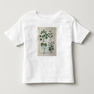 Eibisch u. Hastula Regia Asarabacca u. Kleinkind T-shirt